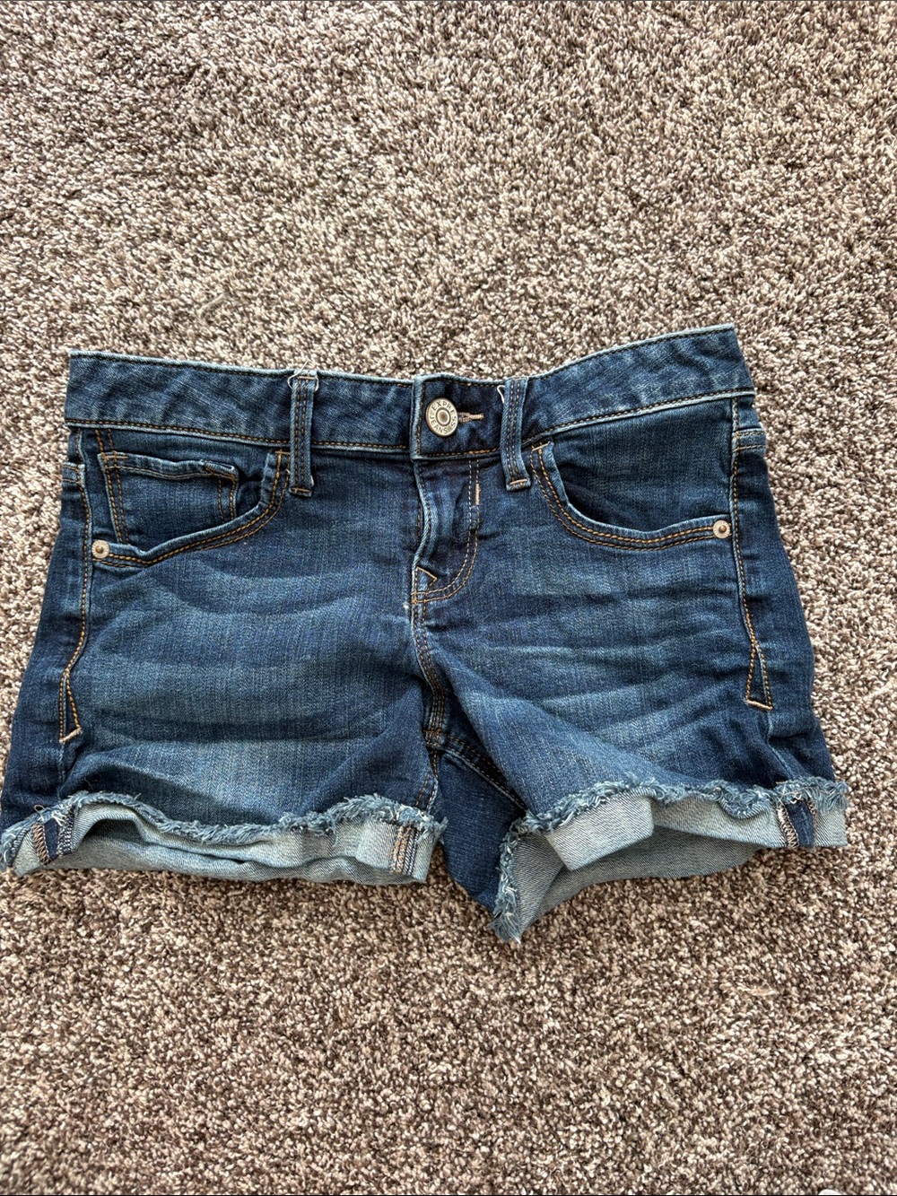 Express Dark Blue Frayed Hem Denim Shorts